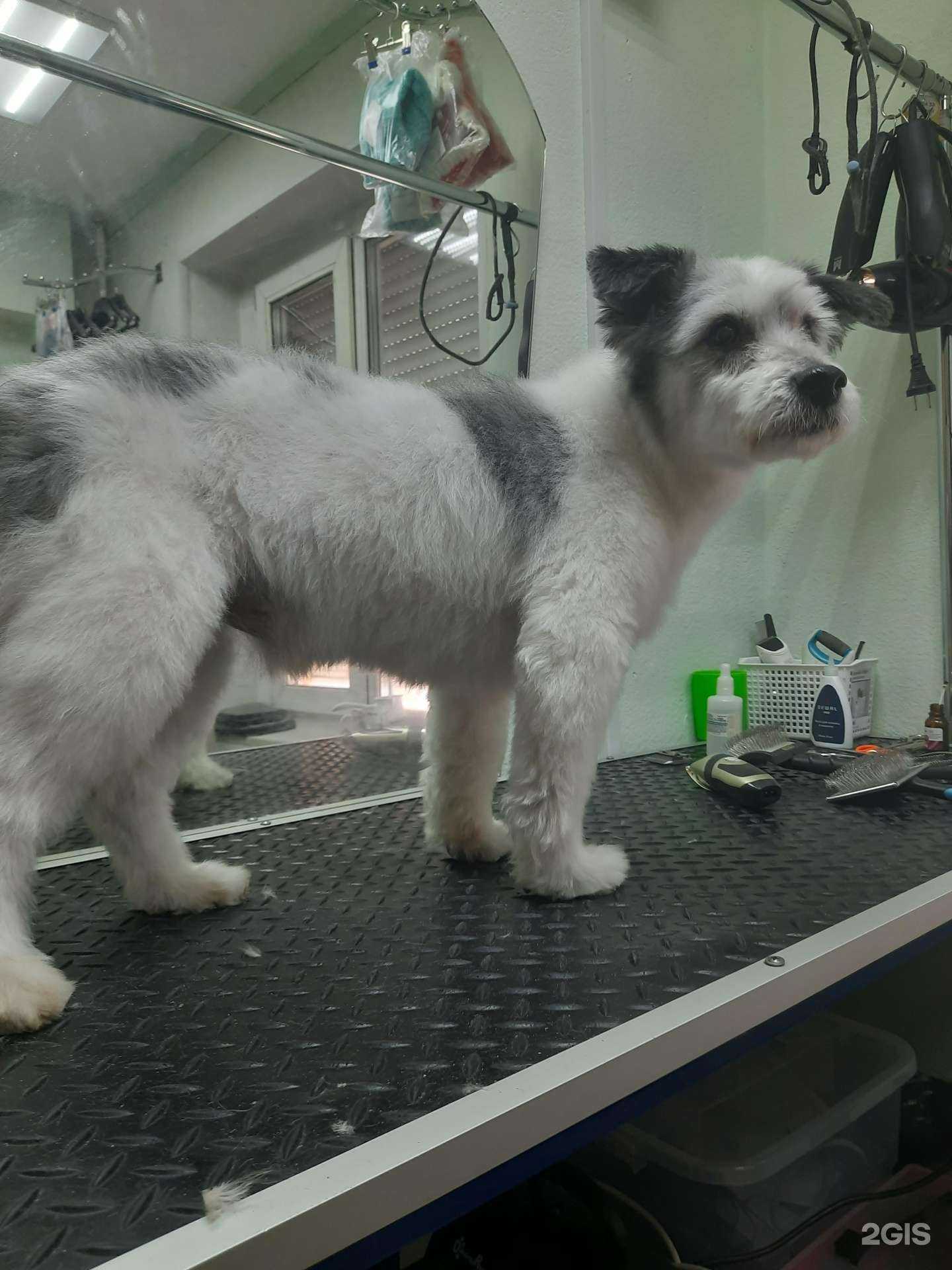 Отзывы на компанию Бриар в Кемерове c фото