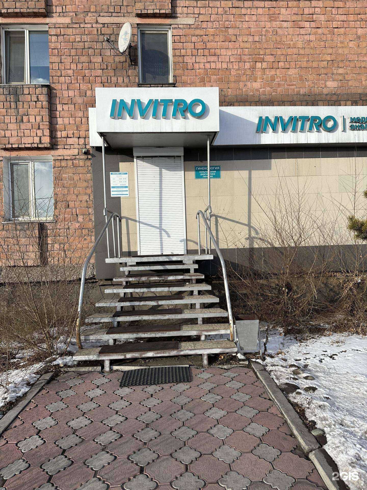 Отзывы на компанию Invitro в г. Кызыл c фото