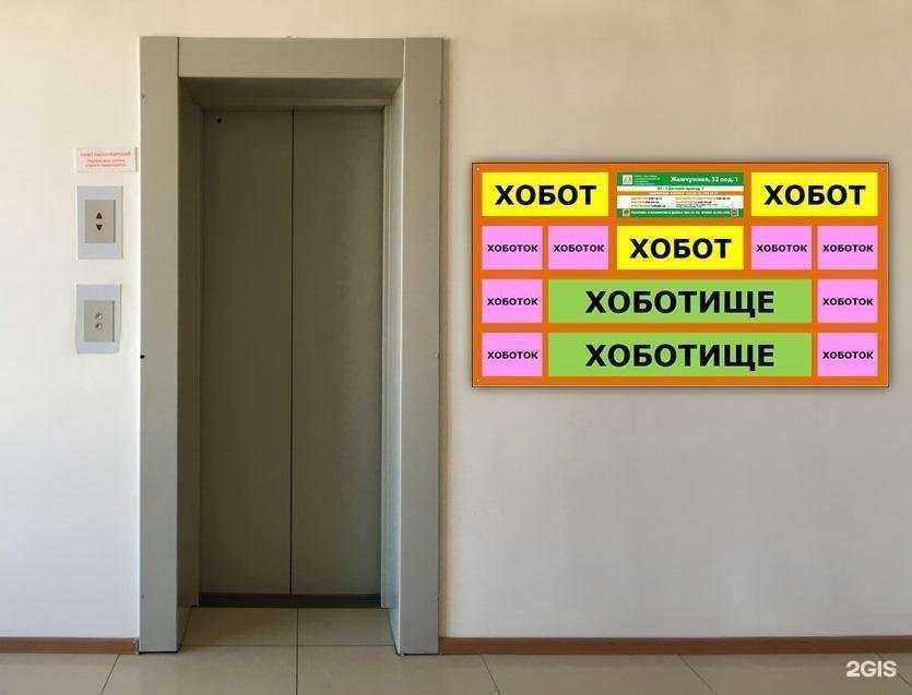 Отзывы на компанию Слон в дом  в Новосибирске c фото