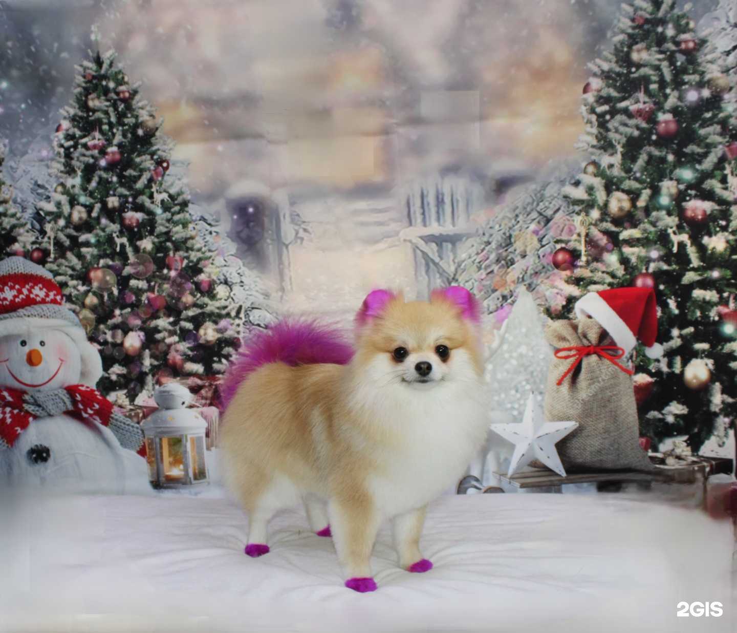 Отзывы на компанию Перфекто в Комсомольске-на-Амуре c фото