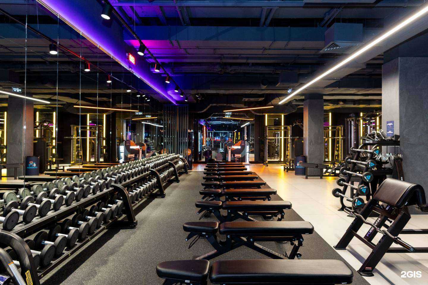 Отзывы на компанию DDX Fitness в Иркутске c фото