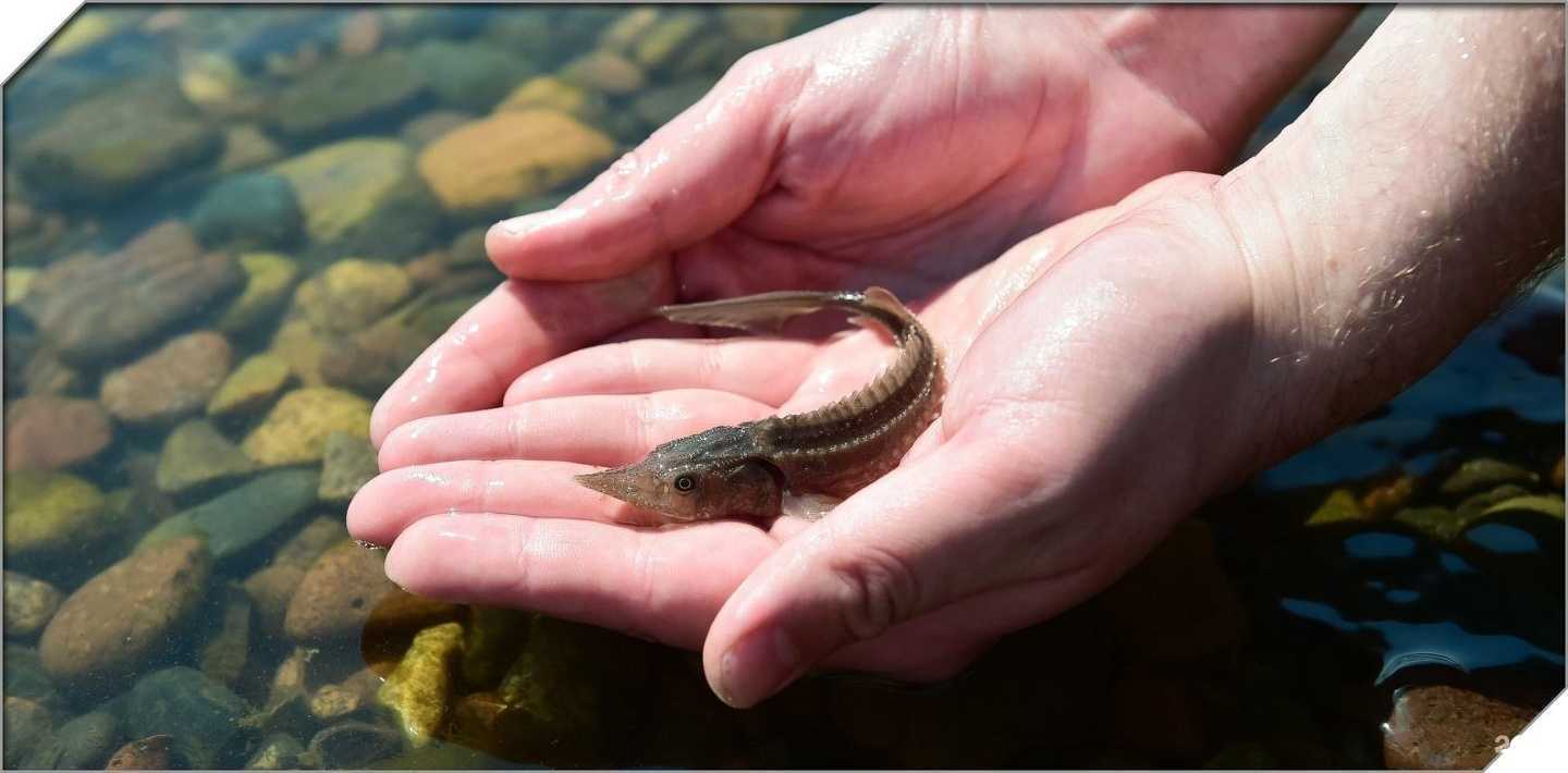 Отзывы на компанию Малтат в Красноярске c фото