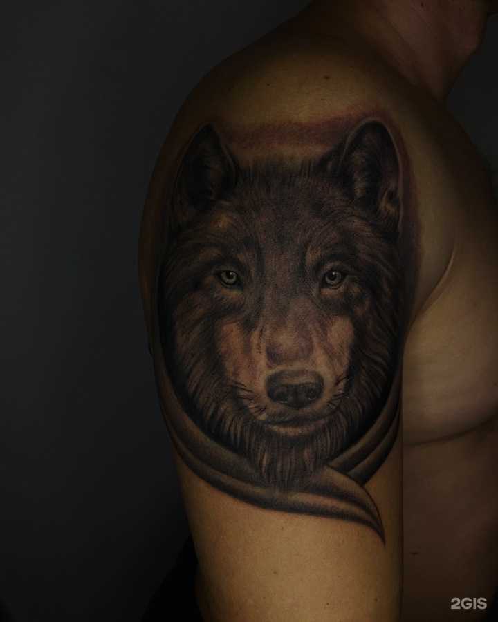 Отзывы на компанию Time Tattoo в Тюмени c фото