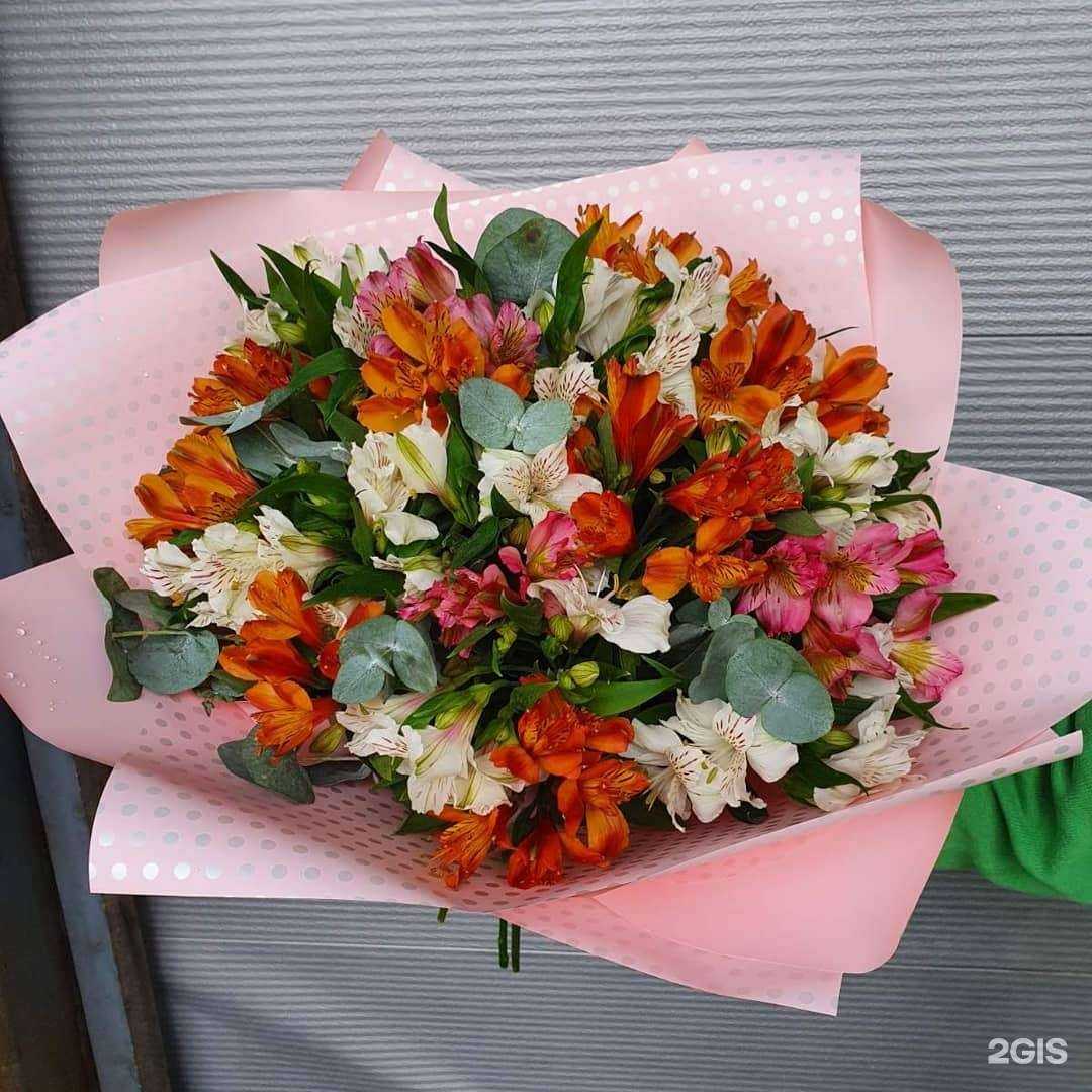 Отзывы на компанию Донна Флор в г. Саратов c фото