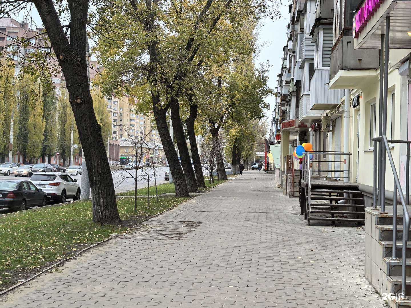 Отзывы на компанию Максавит в Воронеже c фото