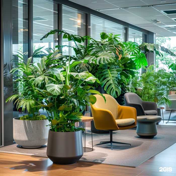 Отзывы на компанию Flowers cream в г. Балашиха c фото