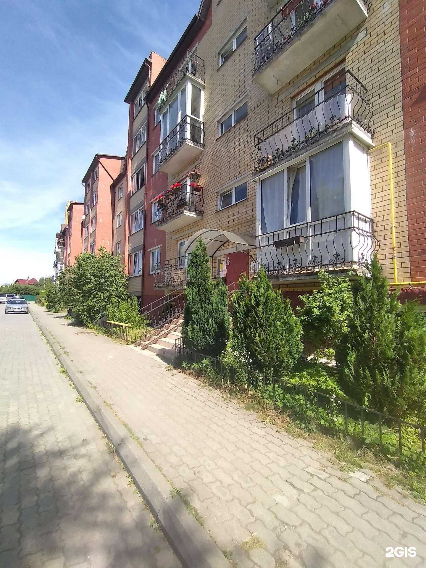 Отзывы на компанию Комплексная спортивная школа олимпийского резерва в Гурьевске c фото - фотография 2 из 2