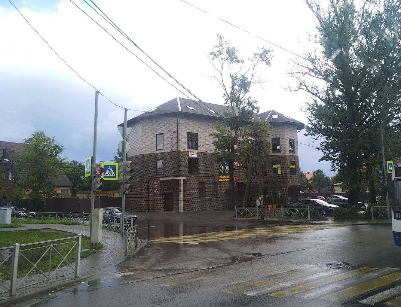 Отзывы на компанию 12 Ступеней Самбо в Калининграде c фото - фотография 2 из 2