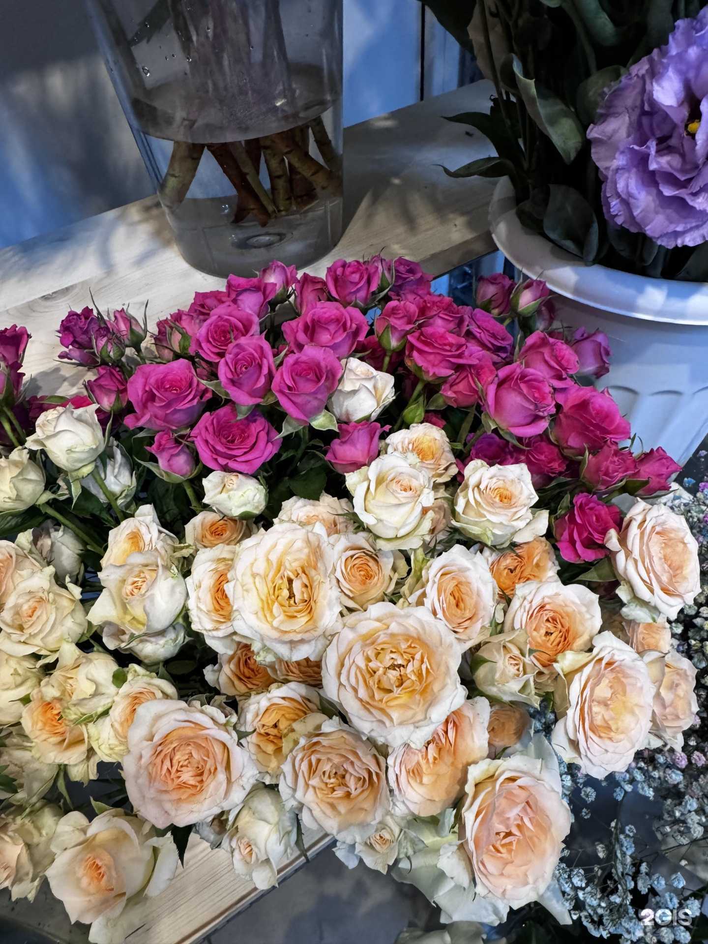 Отзывы на компанию Бутоника в г. Калининград c фото