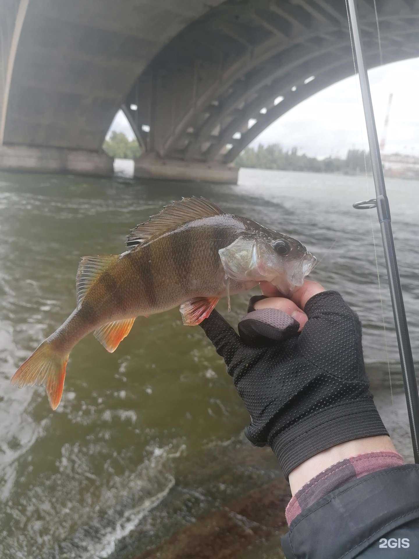 Отзывы на компанию Fmagazin в Воронеже c фото