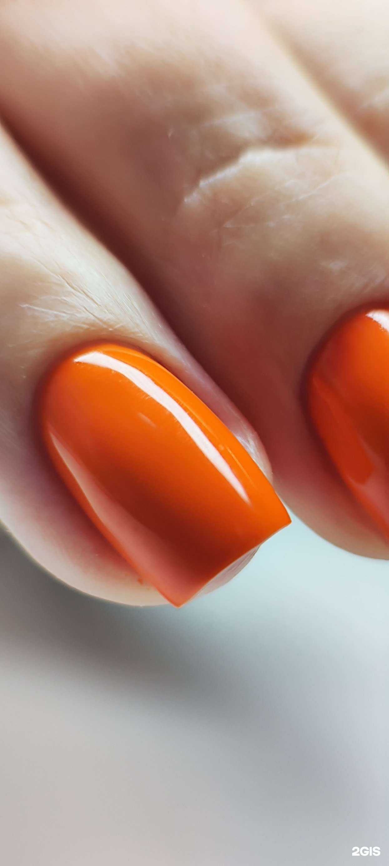 Отзывы на компанию Mamma Mia! в Хабаровске c фото