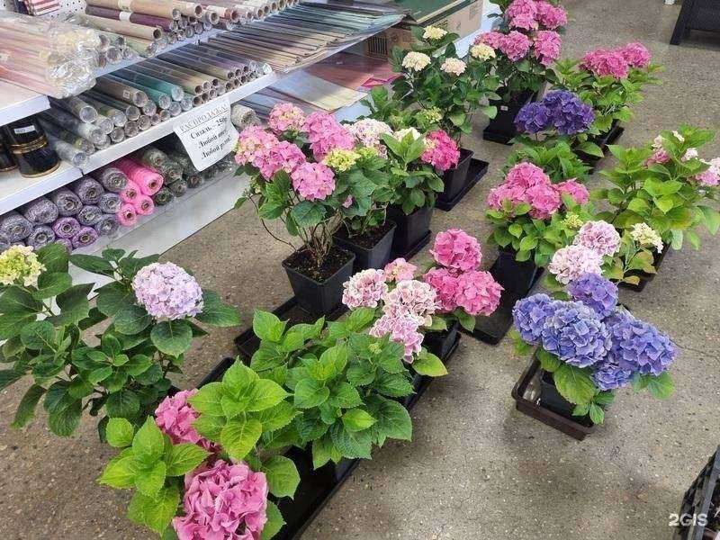 Отзывы на компанию Магазин теплиц и сотового поликарбоната в г. Иркутск c фото