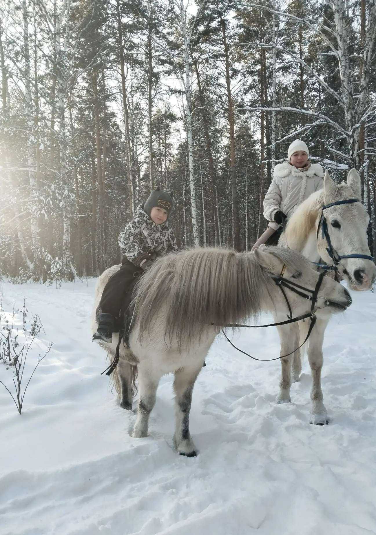 Отзывы на компанию Дозор в г. Екатеринбург c фото