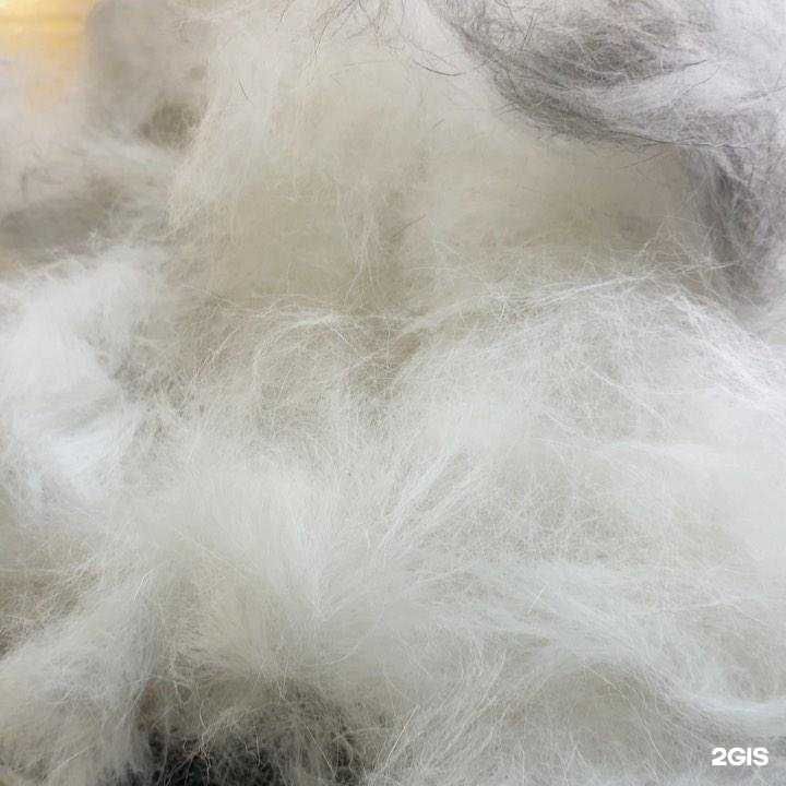 Отзывы на компанию Doggy.groom в г. Воронеж c фото