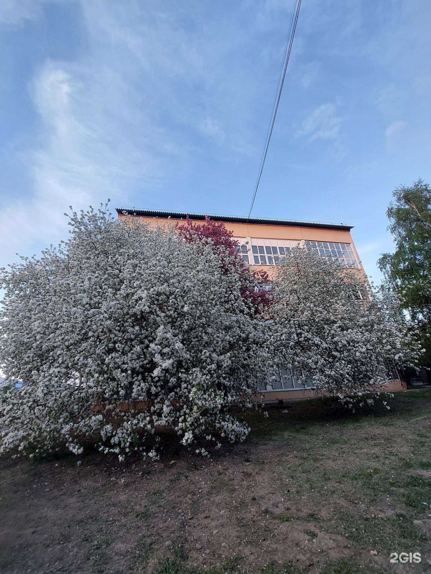 Отзывы на компанию Альянс групп в Барнауле c фото - фотография 2 из 2