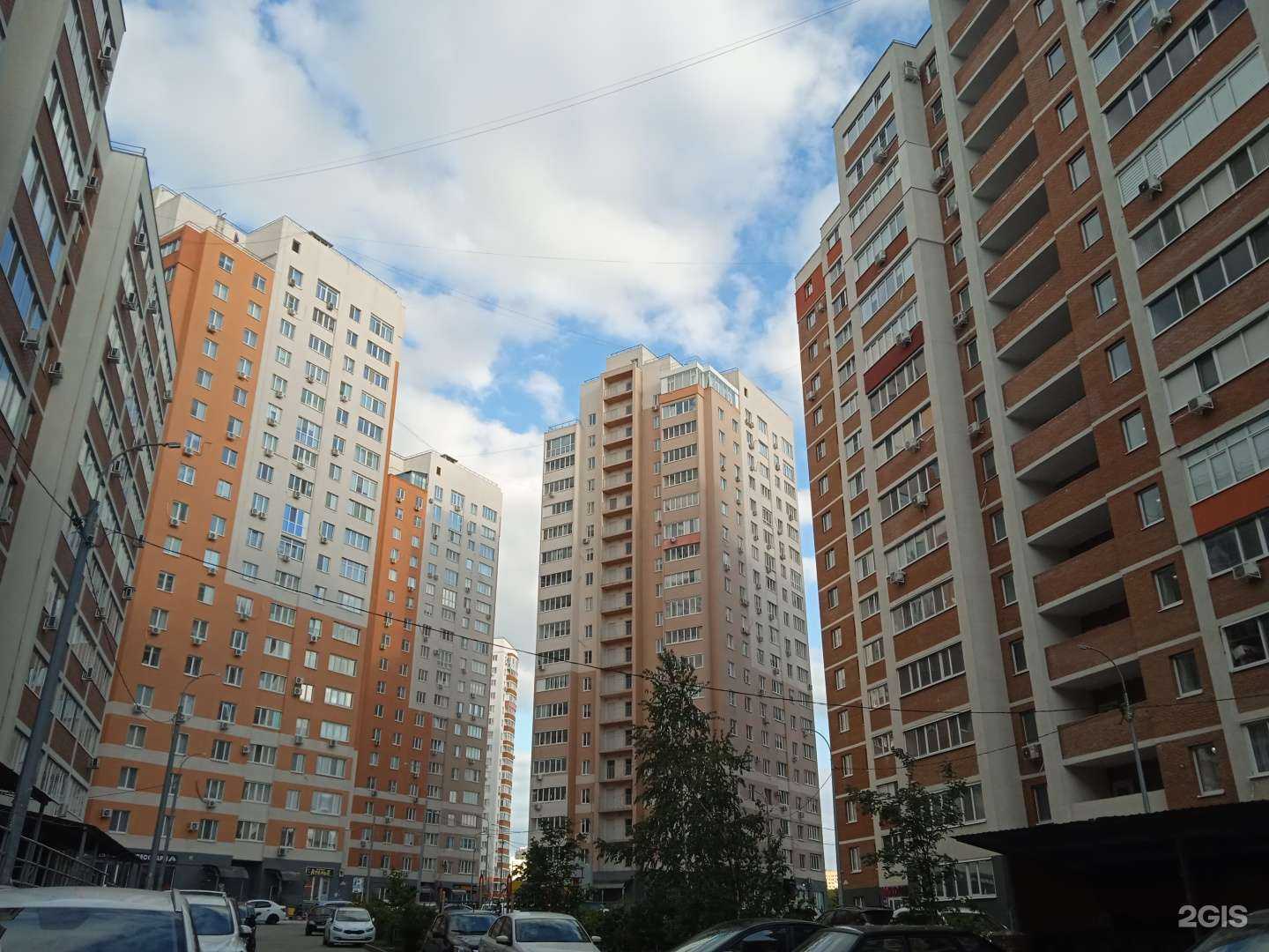 Отзывы на компанию Камыши в Самаре c фото - фотография 2 из 2