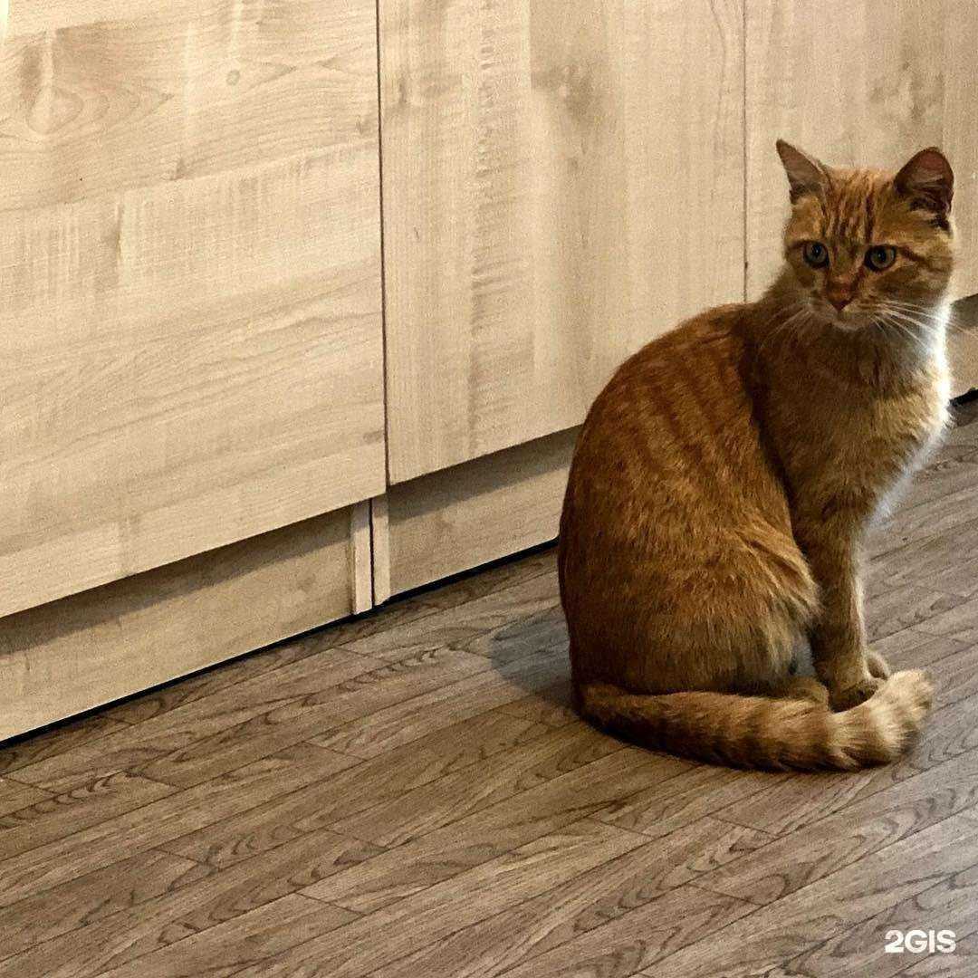 Отзывы на компанию Мир Софт в г. Грозный c фото