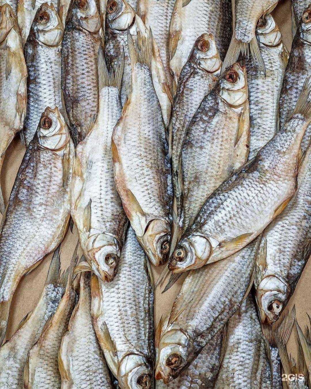 Отзывы на компанию Рыбный день в Махачкале c фото