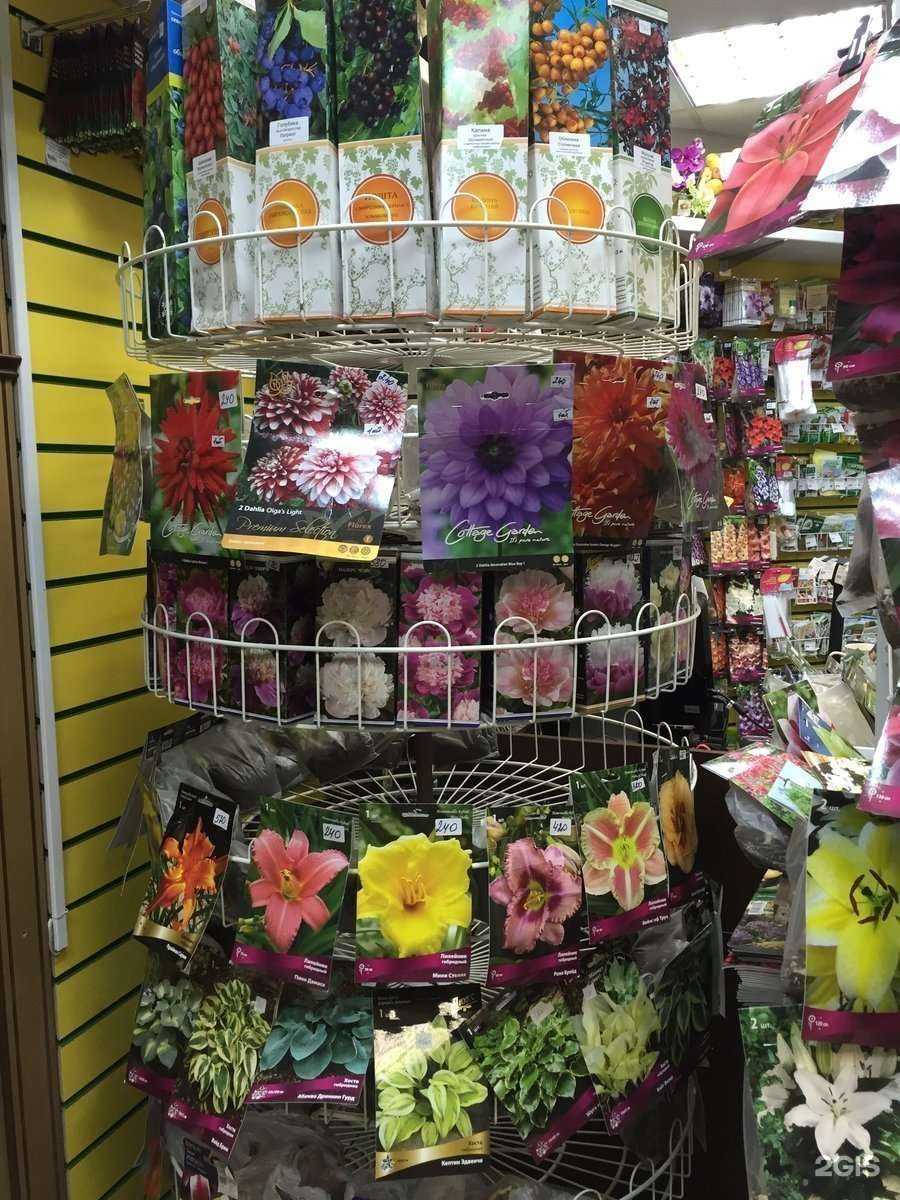 Отзывы на компанию Росток в Нижневартовске c фото