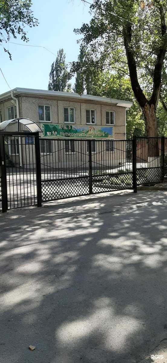 Отзывы на компанию Детский сад №107 в Ростове-на-Дону c фото