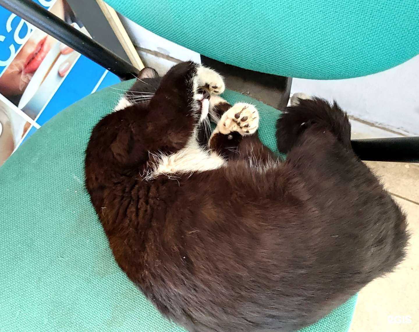 Отзывы на компанию Территория комфорта в Пушкине c фото