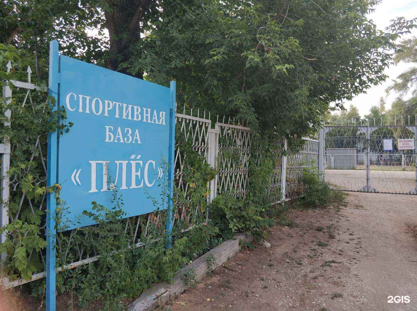 Отзывы на компанию Плёс в Тольятти c фото