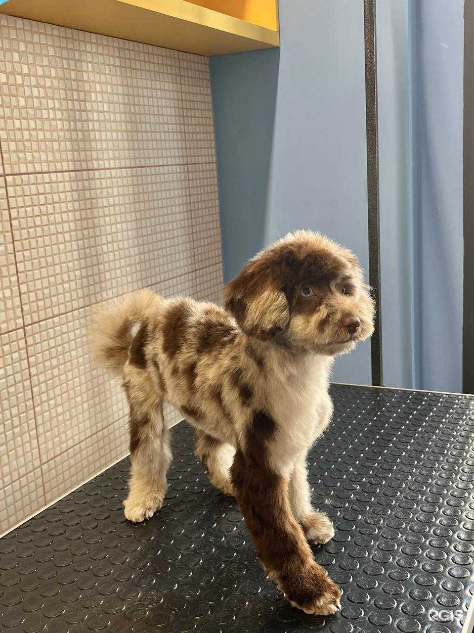 Отзывы на компанию Чистый нос в Екатеринбурге c фото