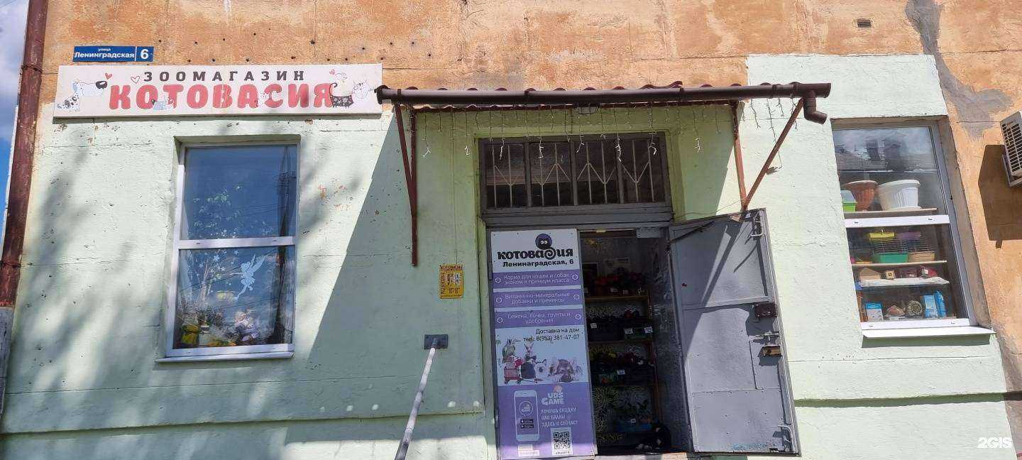 Отзывы на компанию Котовасия в г. Асбест c фото