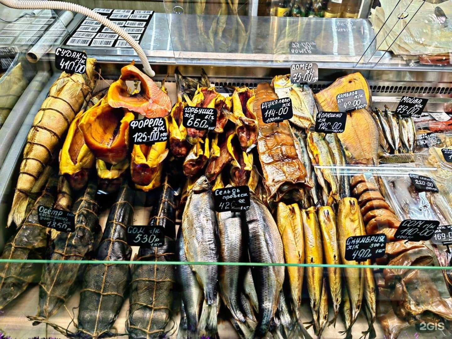 Отзывы на компанию Дельфин в г. Тамбов c фото