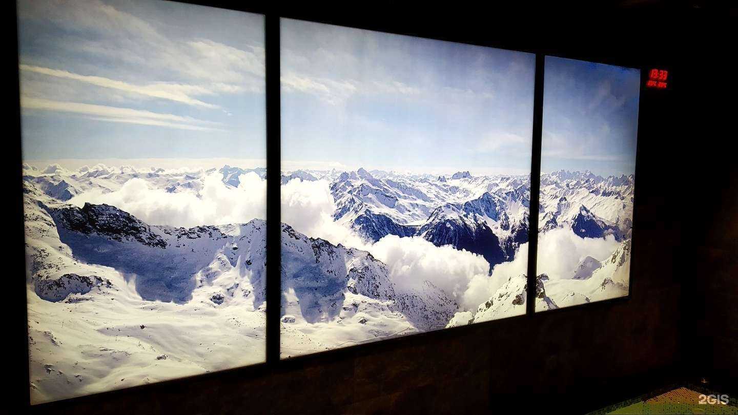 Отзывы на компанию Сибирский сенат в Омске c фото