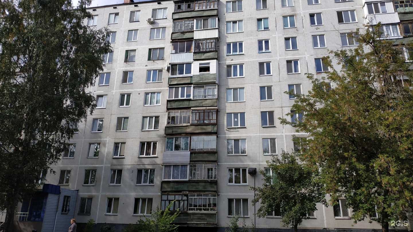 Отзывы на компанию Питомец в Набережных Челнах c фото - фотография 2 из 2