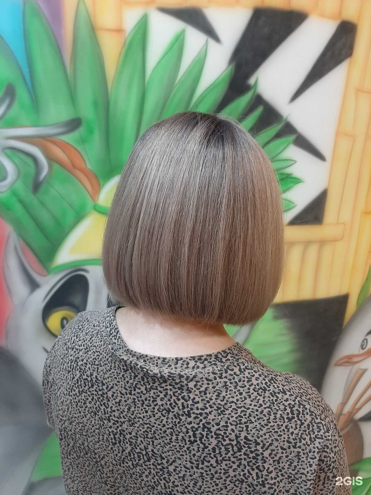 Отзывы на компанию Мадагаскар в г. Новосибирск c фото