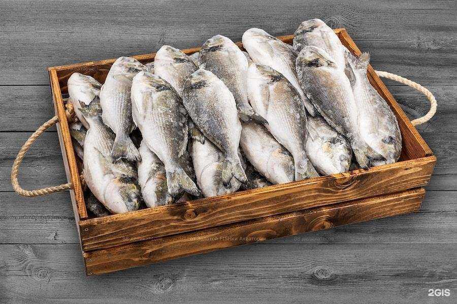 Отзывы на компанию Золотая fishka в г. Самара c фото