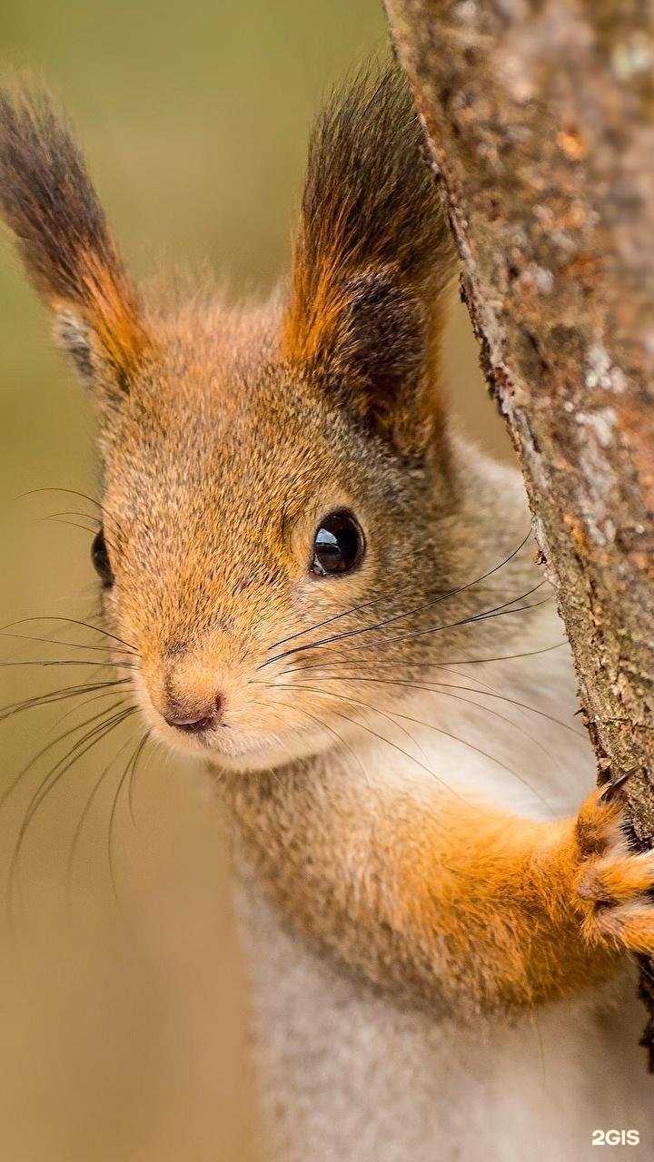 Отзывы на компанию База семейного отдыха в г. Стерлитамак c фото