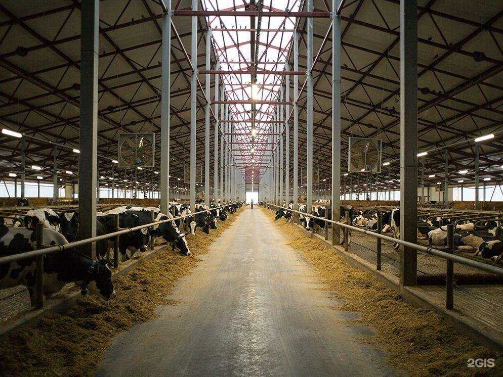 Отзывы на компанию АБ Арск в Казани c фото