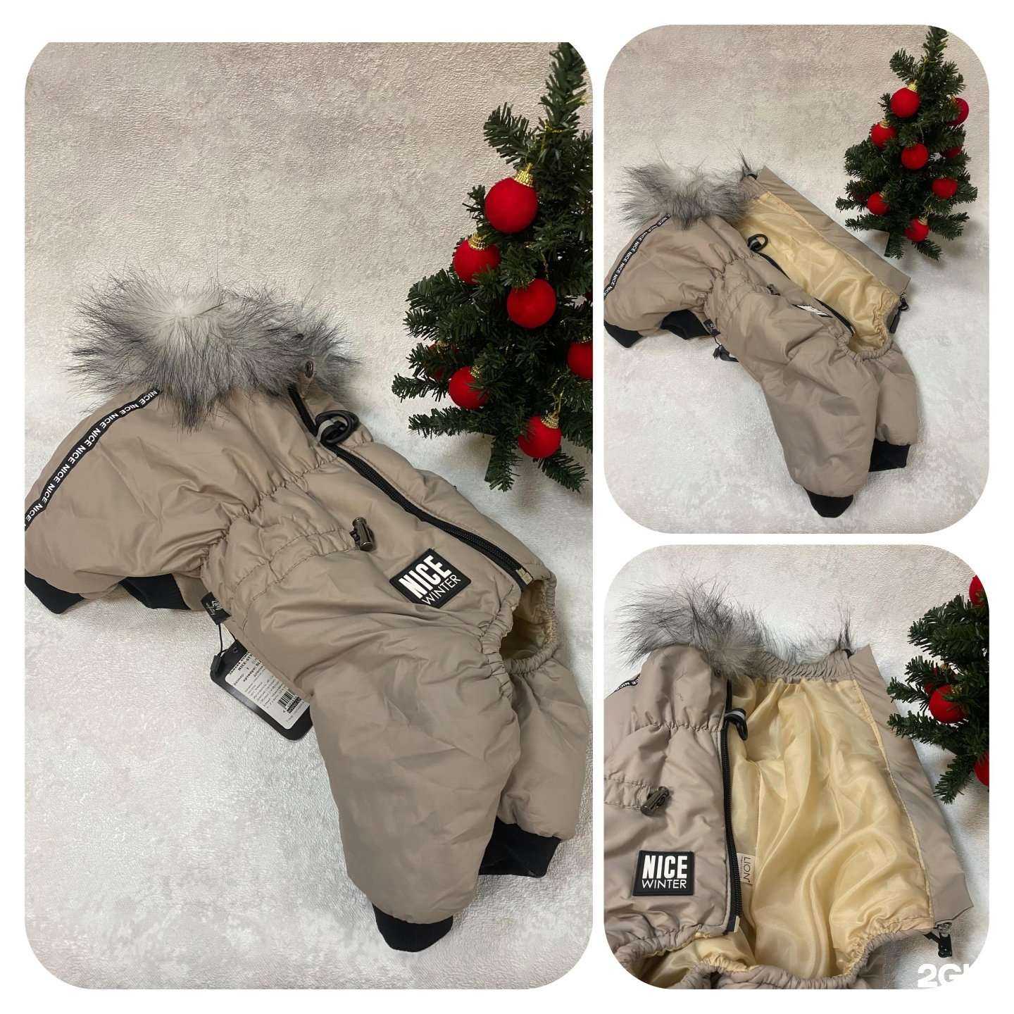 Отзывы на компанию Скуби в Абакане c фото