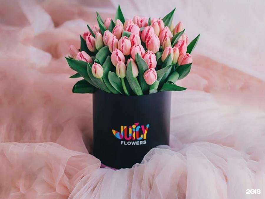 Отзывы на компанию Эстетис в Екатеринбурге c фото