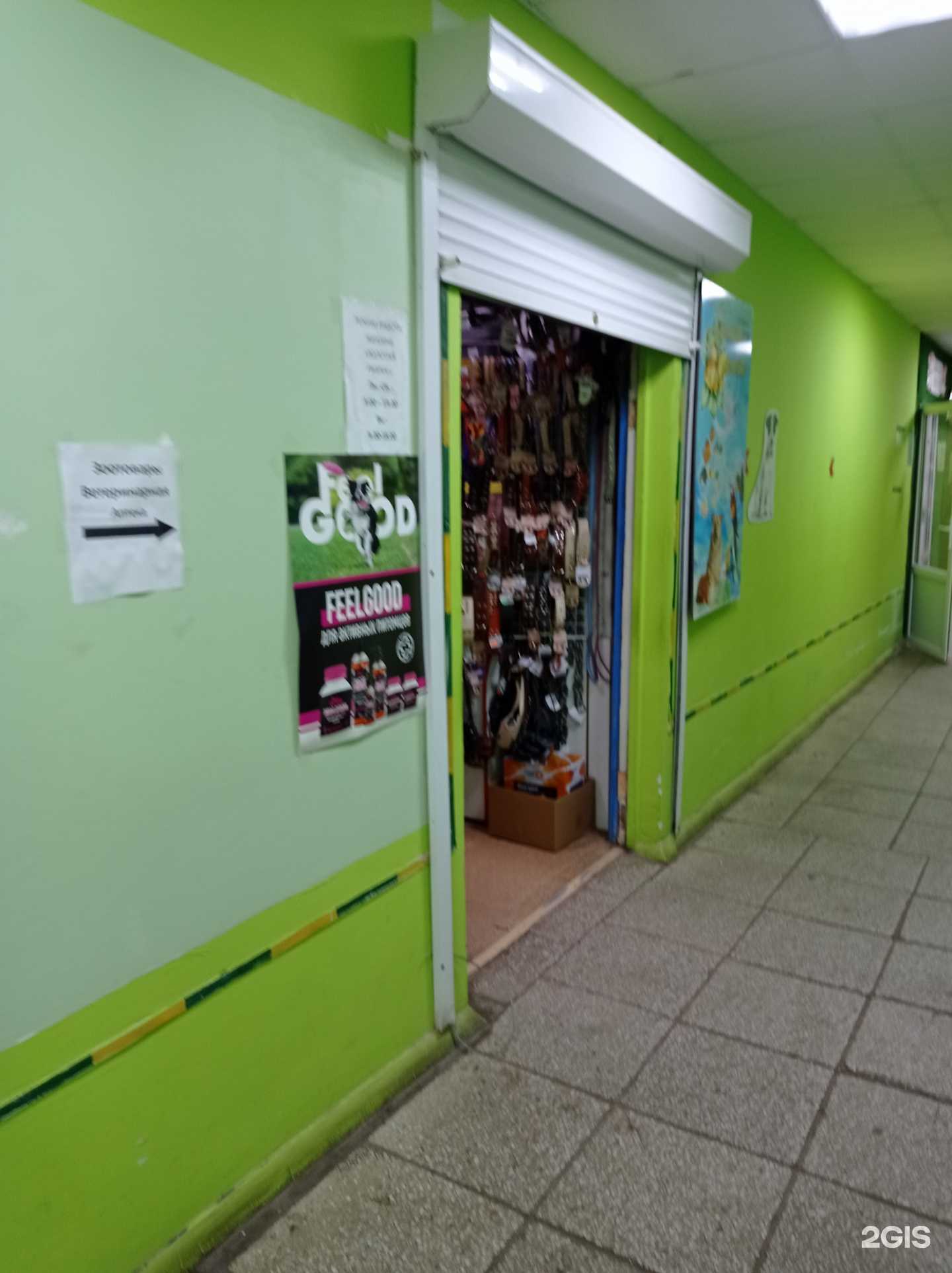 Отзывы на компанию Золотая рыбка в Елабуге c фото