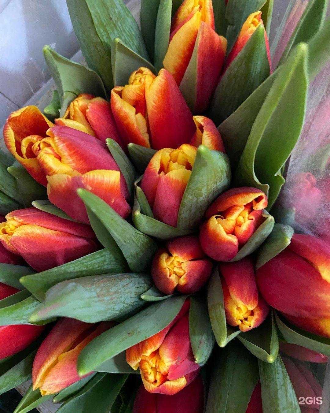 Отзывы на компанию Магазин цветов в г. Ханты-Мансийск c фото