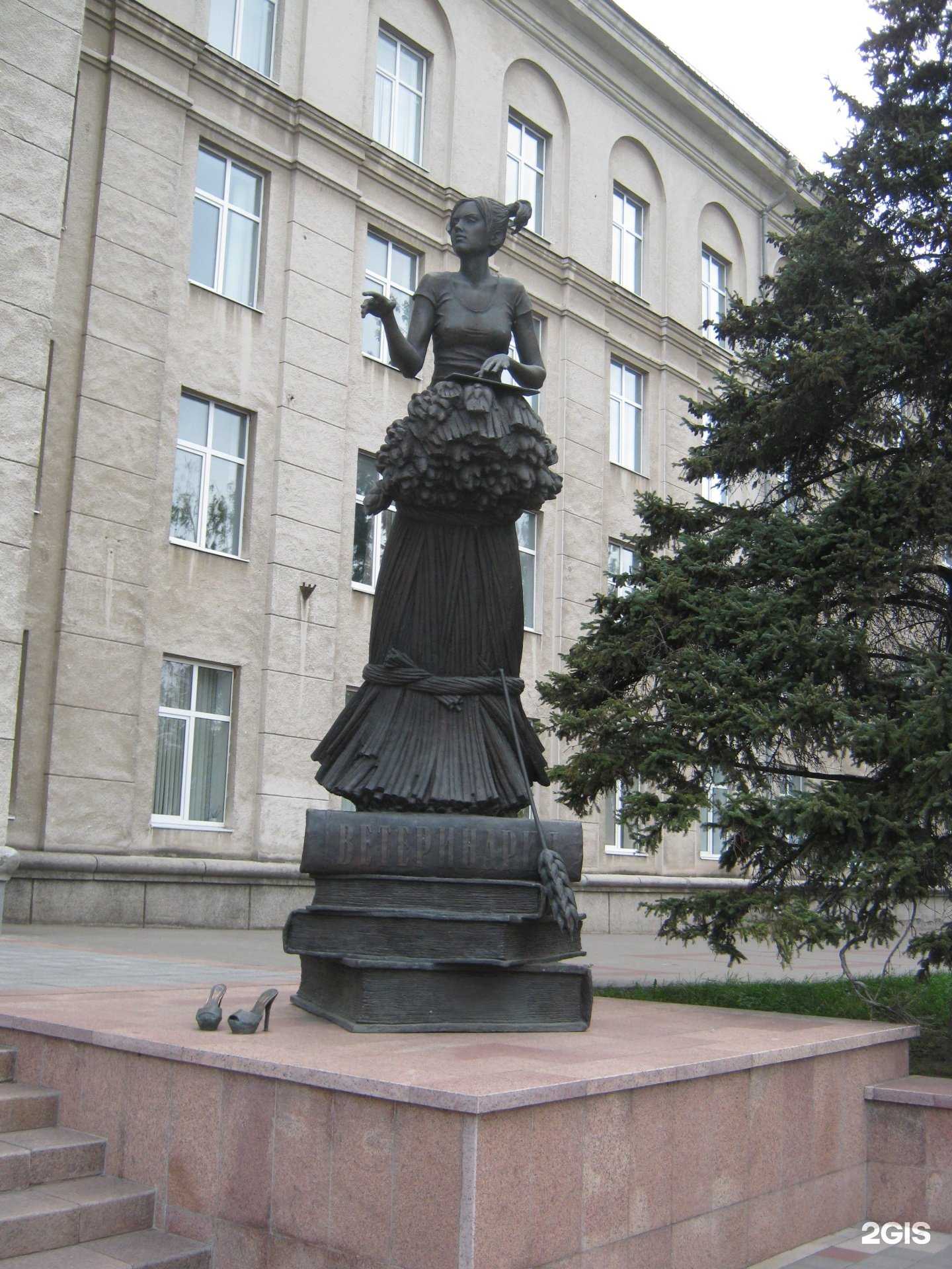 Отзывы на компанию Курский государственный аграрный университет им. И.И. Иванова в г. Курск c фото