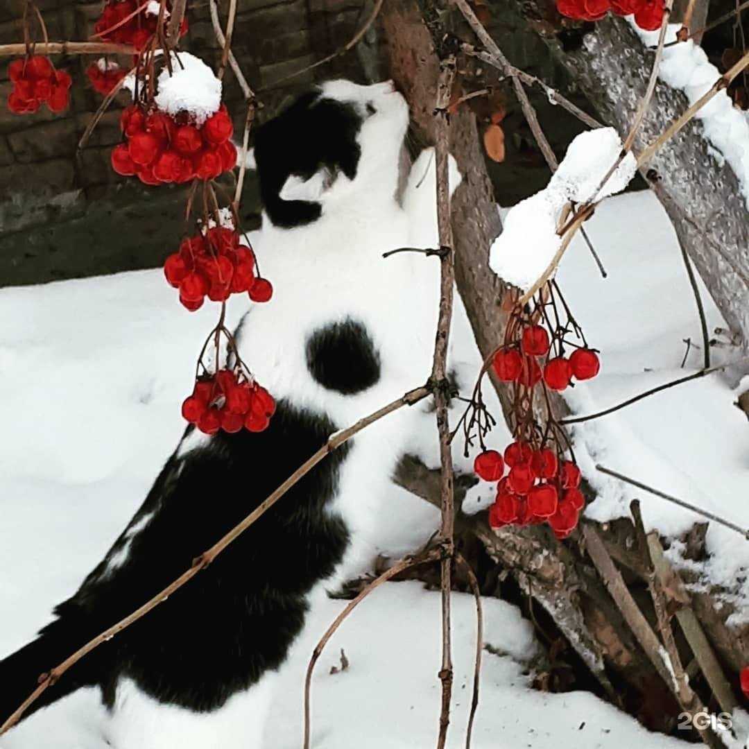 Отзывы на компанию Эстетика в г. Балаково c фото