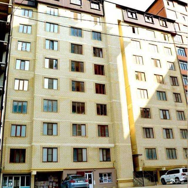 Отзывы на компанию Бешеная пчелка в Махачкале c фото - фотография 2 из 2