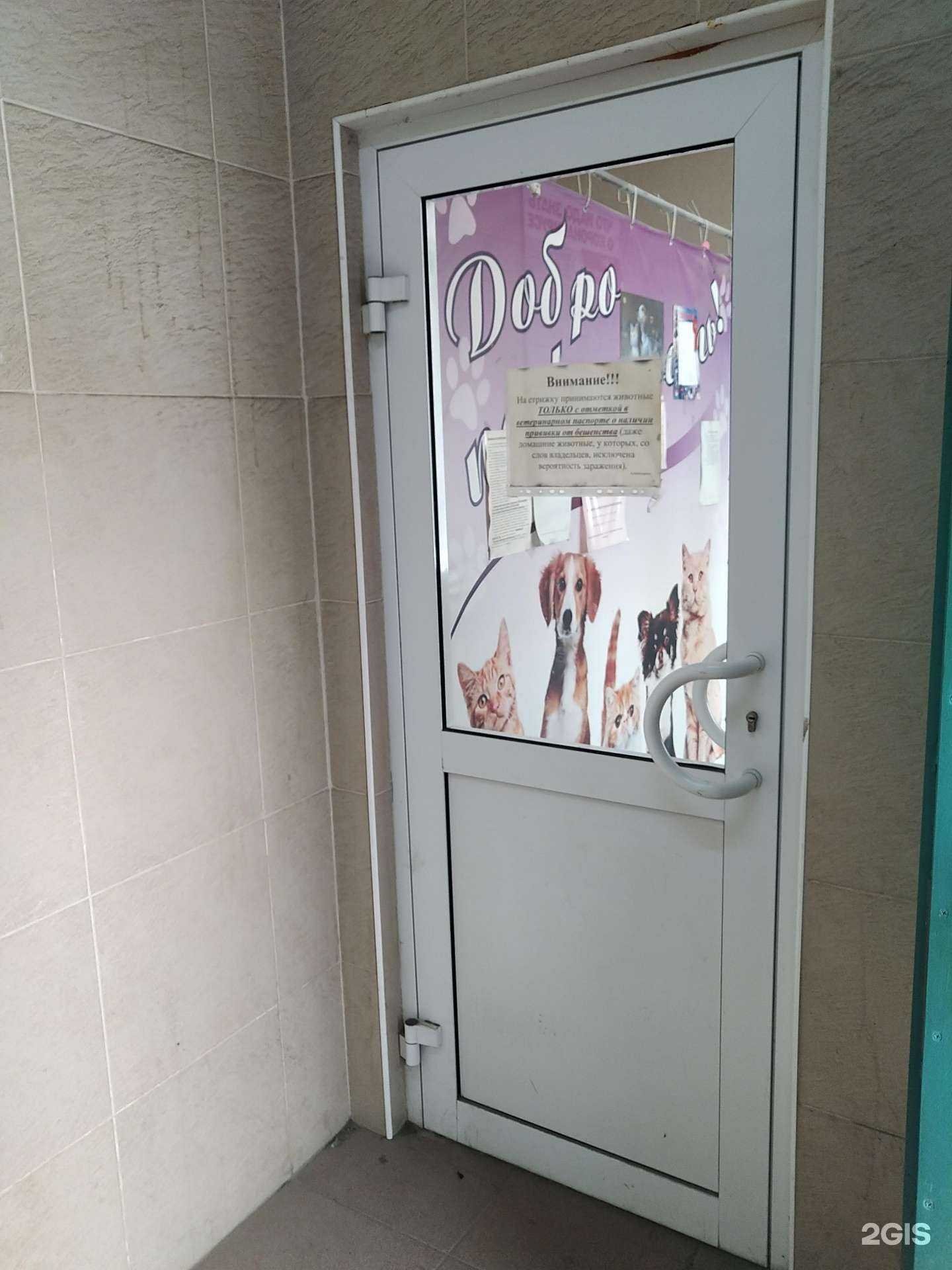 Отзывы на компанию Пушистый Стиль в г. Елец c фото