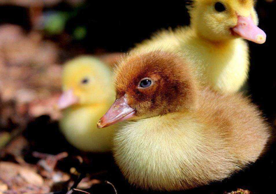 Отзывы на компанию Свердловская в г. Екатеринбург c фото