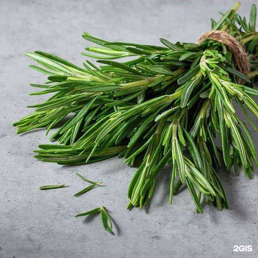 Отзывы на компанию Династия в г. Малоярославец c фото