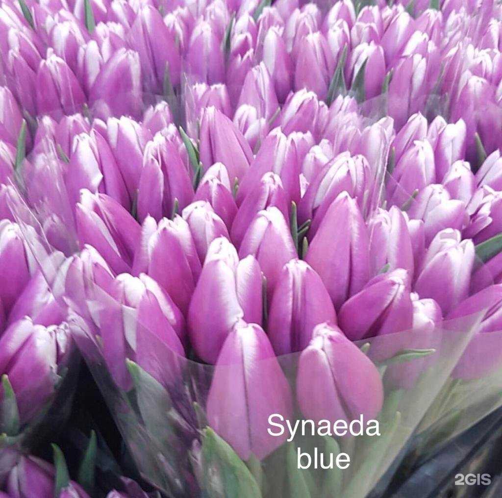 Отзывы на компанию Цветочный рай в Сочи c фото