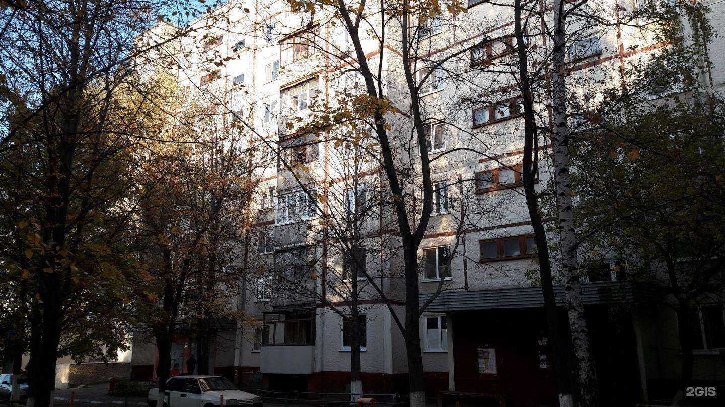 Отзывы на компанию Садко в Белгороде c фото - фотография 2 из 2