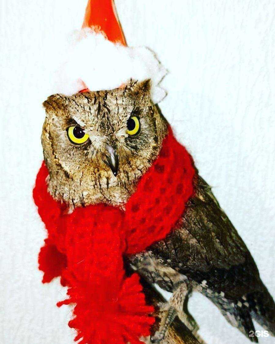 Отзывы на компанию Зоомир в Орске c фото