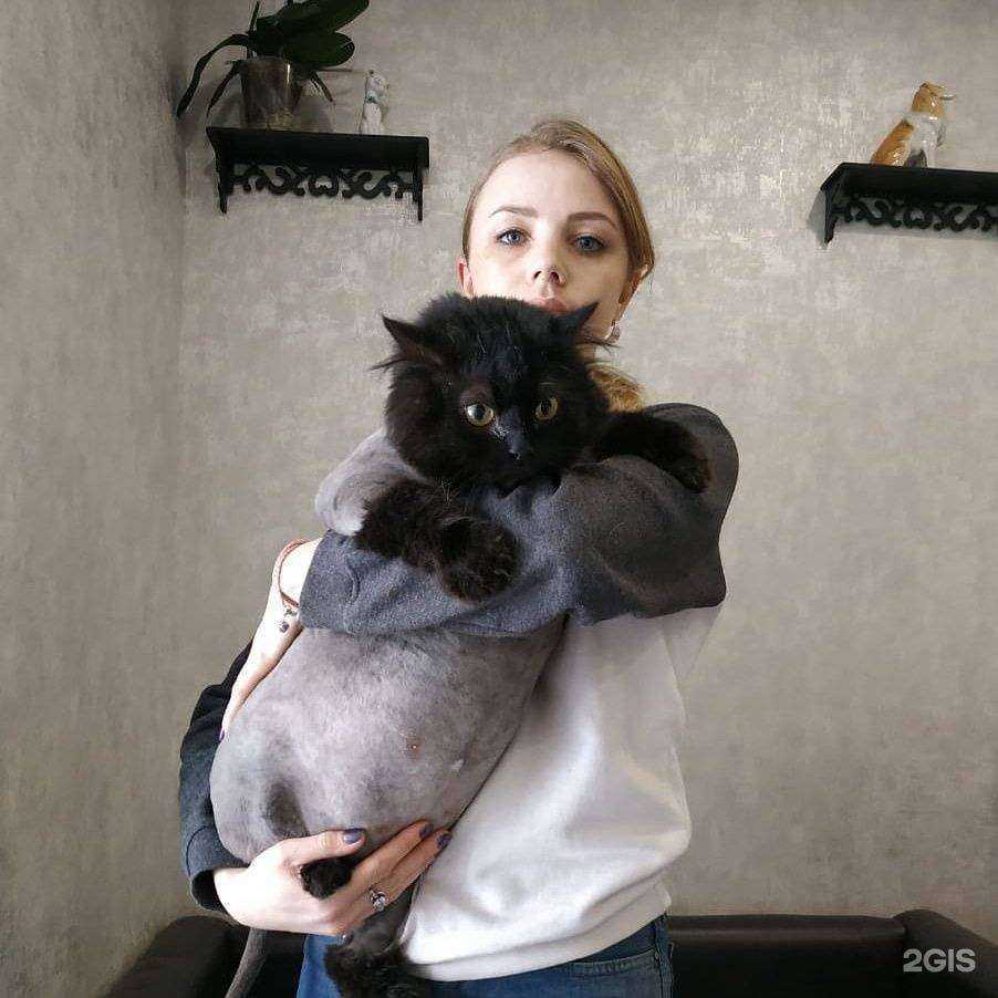 Отзывы на компанию Умка в Ижевске c фото