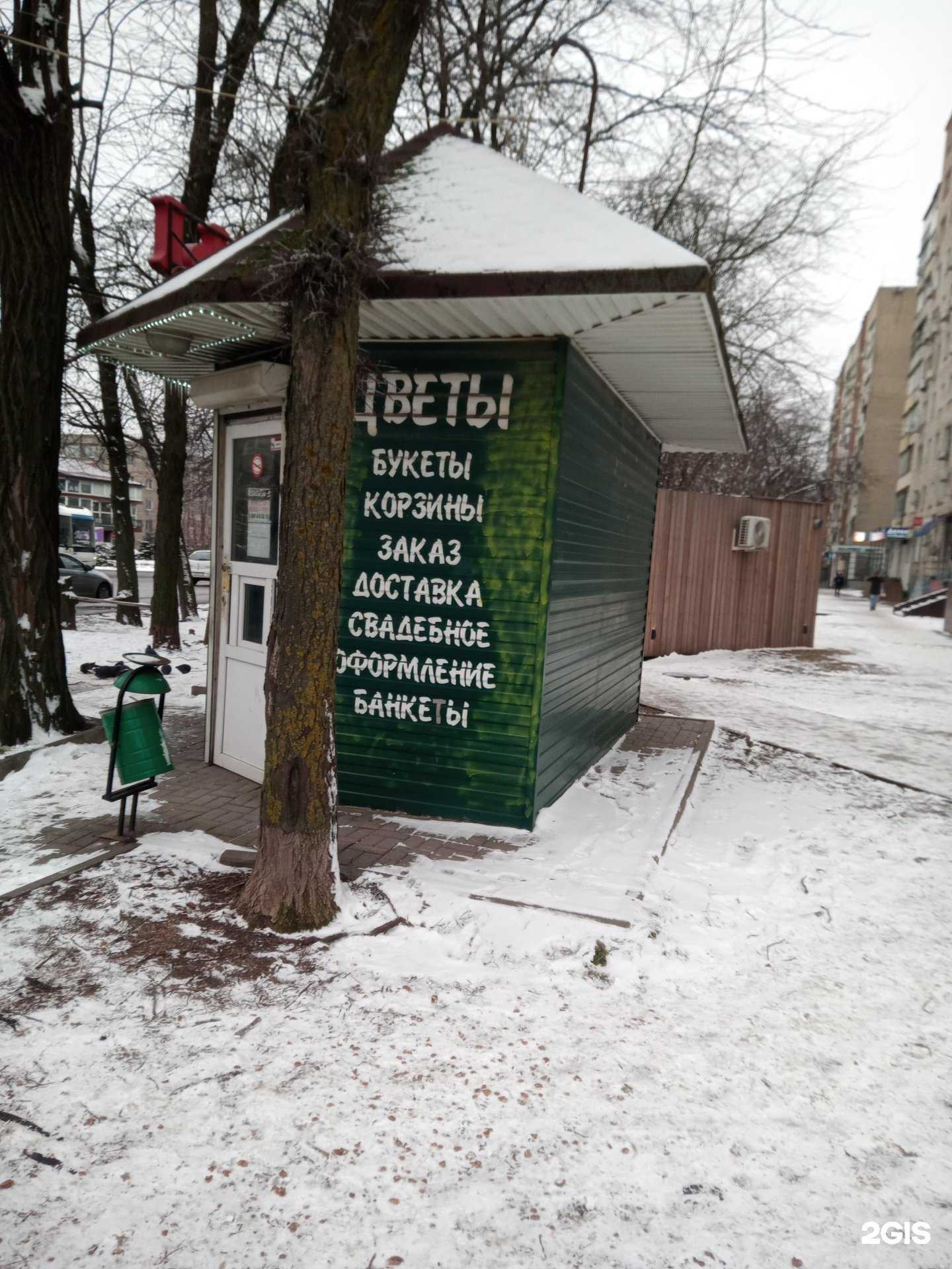 Отзывы на компанию Магазин цветов в г. Ростов-на-Дону c фото